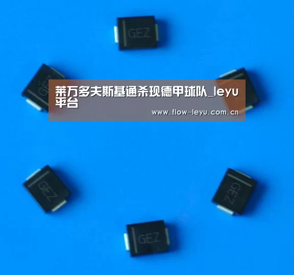 乐鱼电竞官网入口