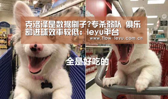 克洛泽是数据刷子?专杀弱队 俱乐部进球效率较低:leyu平台(图1) 乐鱼电竞app下载