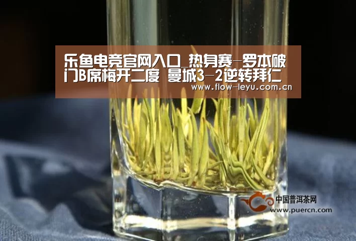乐鱼电竞官网入口