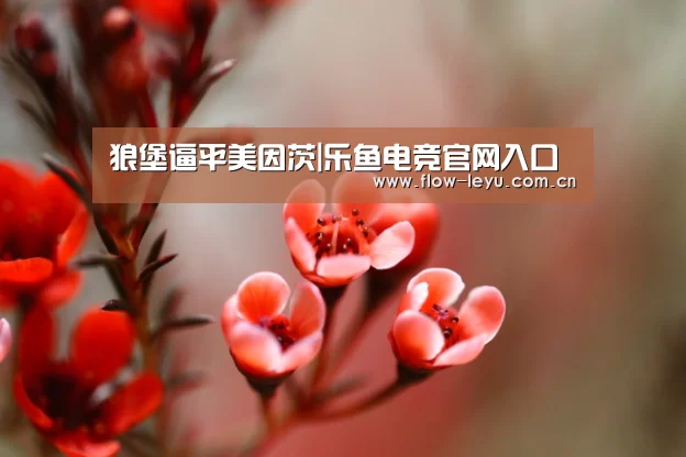 乐鱼电竞